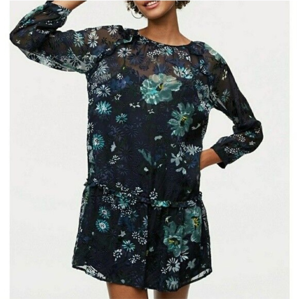 LOFT Sheer Winter Garden Flounce Dress size S